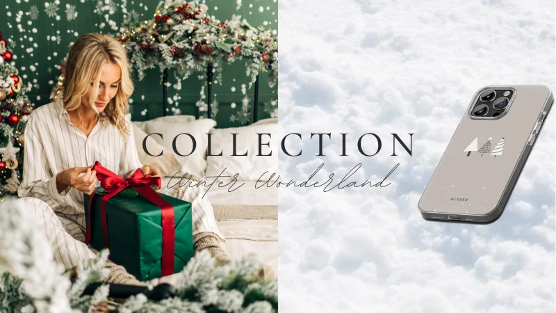 Inverno incantevole Immagine della collezione